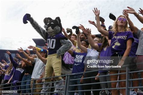 Huskies Mascot Photos and Premium High Res Pictures - Getty Images