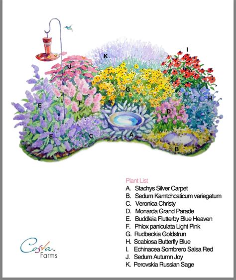 Monarch Butterfly Garden Design Plans