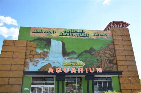 Branson's Wild World Aquarium - Branson, MO | Branson missouri vacation, Branson vacation, Branson