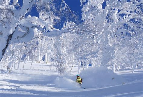 Trip Report: Snowy Adventures in Japan | Women's Gear Guide