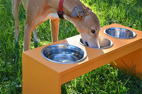 funnelcloud: DIY dog feeder