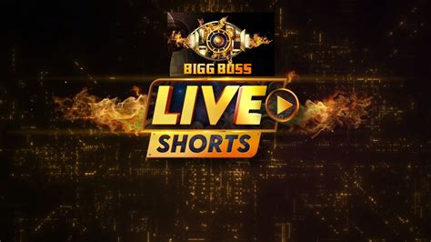 Bigg Boss 17 - Live Shorts - 2nd and 3rd January 2024 - DesiRulez