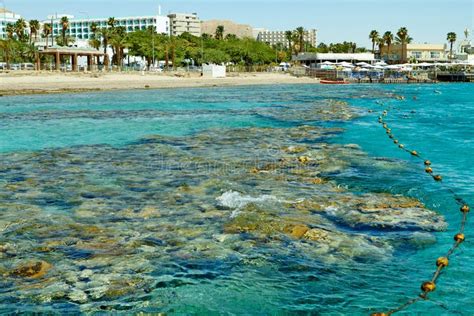 Coral Reef on the Red Sea Eilat Stock Image - Image of ocean, city ...