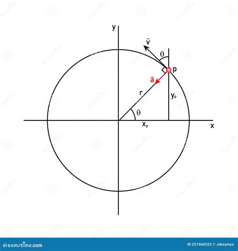 Uniform Circular Motion Diagram. Velocity and Acceleration in Physics Stock Vector ...