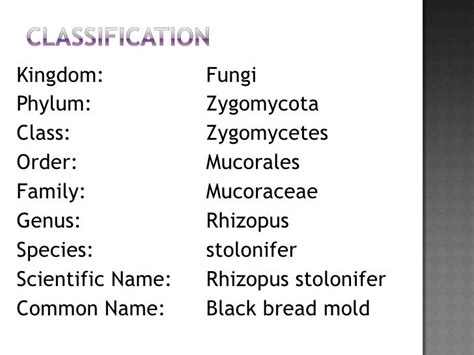 BIOLOGICAL SCIENCE~origin of life