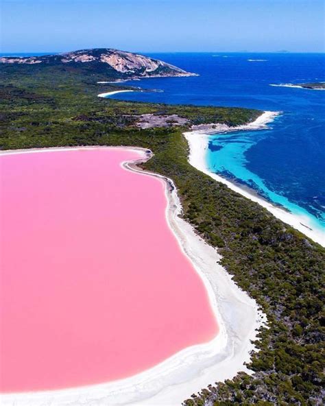 Lake Hillier in Western Australia. : r/pics