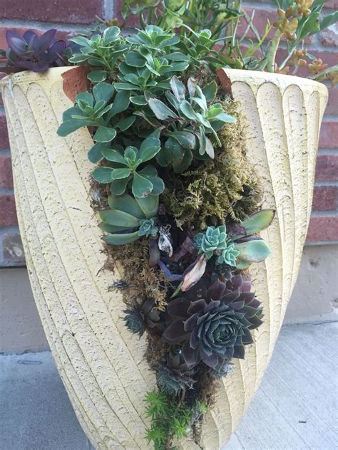 Broken pot succulent container by Kristin Middleton | Broken pot garden, Succulents in ...