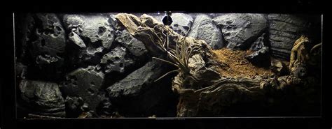 Tarantula Enclosure 1 by MinionofSloth on DeviantArt