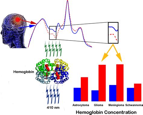 Fluorescence spectroscopy as a highly potential single-entity tool to ...