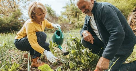 Benefits of Gardening for Seniors and the Elderly - Amico