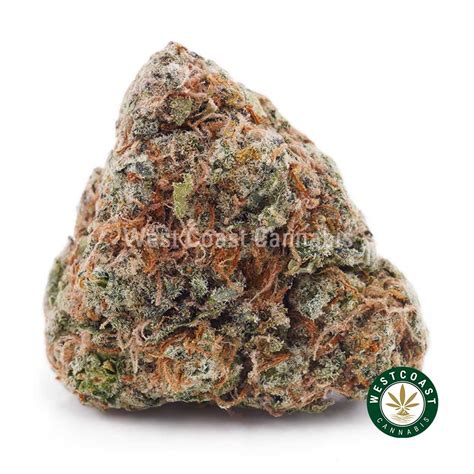 Guava Cookies AAA - West Coast Cannabis