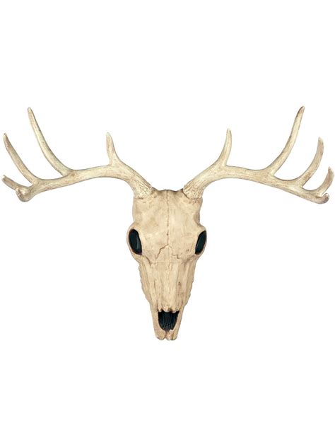 Buck Skull Skeleton Decoration