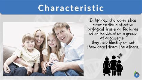 Characteristic Definition and Examples - Biology Online Dictionary