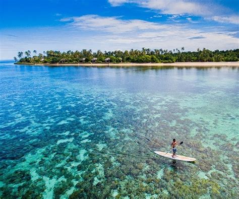 Wakatobi delivers five-star marine life experiences - A Luxury Travel Blog