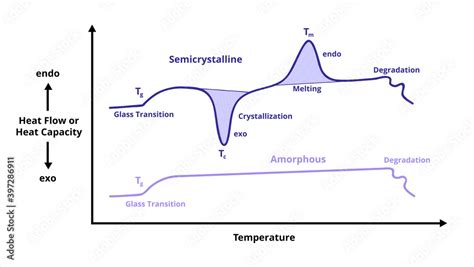 DSC curve isolated on white. Differential scanning calorimetry. Amorphous and semicrystalline ...