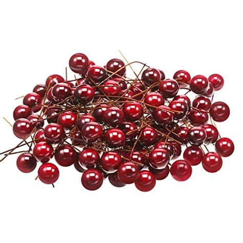 Are Holly Berries Edible? (Important Things You Should Know) - Kitchen ...