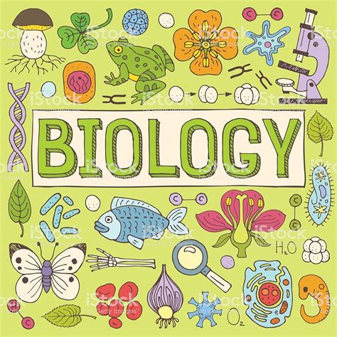 Biology. | Portadas de biologia, Ejemplo de la ciencia, Portada de cuaderno de ciencias