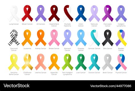 Every All Cancer Ribbon Color Isolated Icons Vector Image, 48% OFF