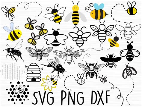 Bee Svg Bundle Bee Svg Bumble Bee Svg Honey Bee Svg Honey - Etsy Canada