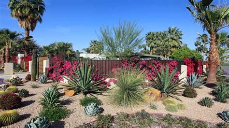 How to get started with xeriscaping