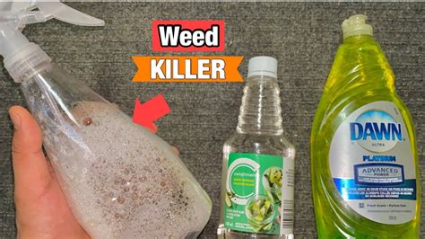 Vinegar as Weed Killer | Powerful Organic Weed Killer | Vinegar in the Garden - YouTube