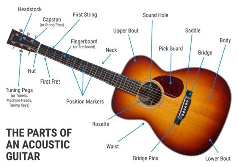 The Parts of an Acoustic Guitar - Sound Pure