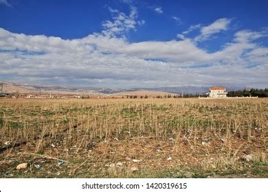 160 Bekaa Valley Agriculture Stock Photos, Images & Photography ...