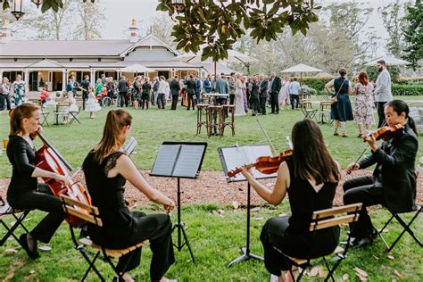 Wedding String Quartets and String Bands | String Musicians Australia