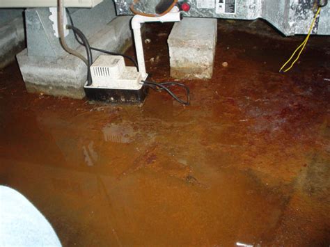 Iron Bacteria (Iron Ochre) In Wet Basement Environments | Waterproofing A Basement With Iron ...