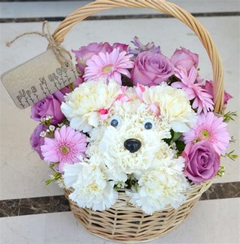 1000+ images about Dog and Animal Flower Arrangements on Pinterest | Flower arrangements, Puppy ...