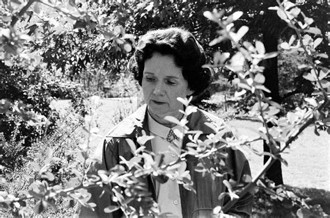 Rachel Carson Biography: Environmentalist Author