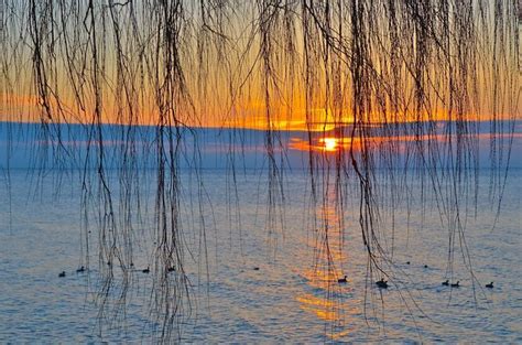 Oakville, Ontario. Photo by Diana Zlamalik on theweathernetwork.com ...