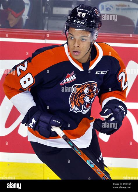 Medicine Hat Tigers player Cayden Lindstrom during a WHL (Western ...