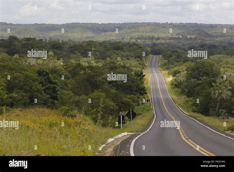 BR-230 highway Transamazon Stock Photo - Alamy