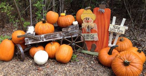 The Best Pumpkin Patches Near Me — Here's Where You Need to Go