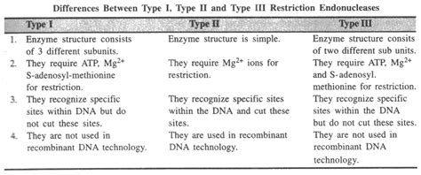 Restriction Enzymes Types