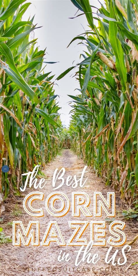 12 Best Corn Mazes in the US