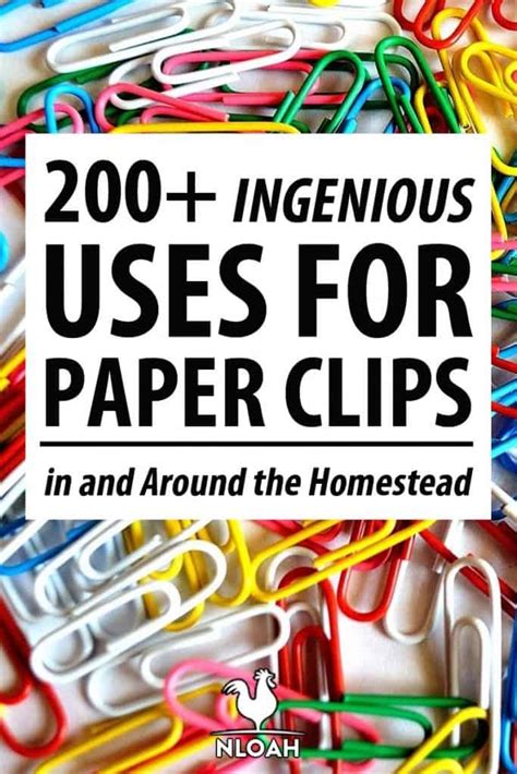 200 Clever Uses for Paper Clips in and Around the Homestead • New Life ...