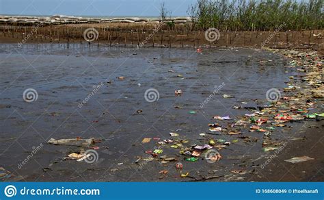 Mangrove Forests Contaminated with Plastic Waste, Wiyh Selective Focus Editorial Stock Image ...