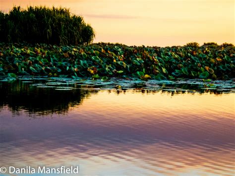 Mary River, Northern Territory | NotDunRoamin - travel blog