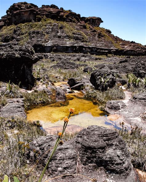 Mount Roraima: An island in the clouds - Discvr.blog