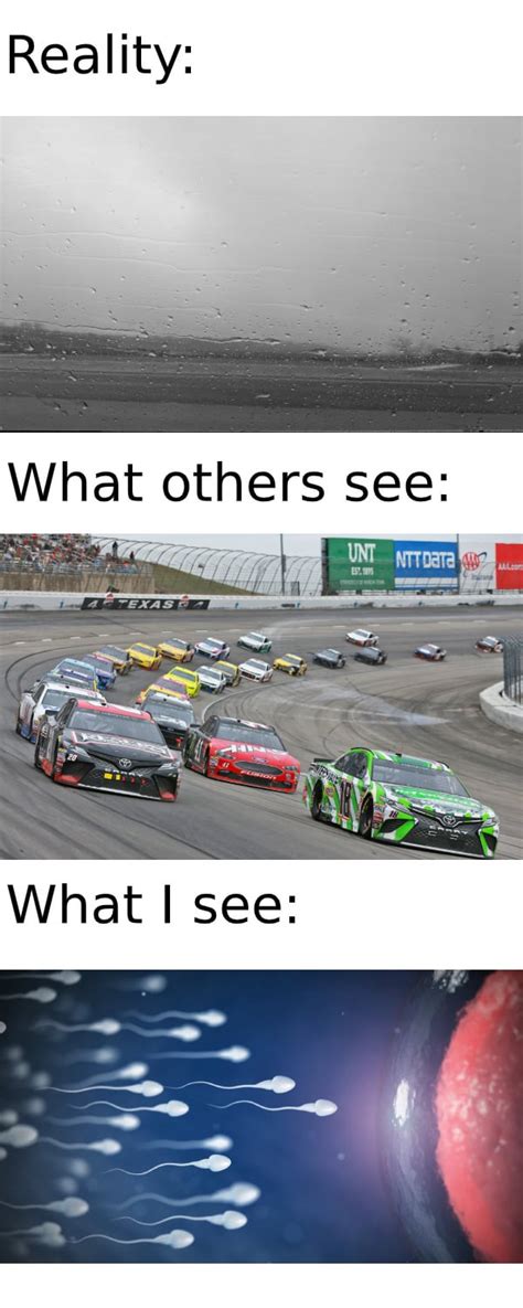 A Race to the Finish Line : r/memes