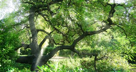 The Location of the Garden of Eden Might Have Been Found ...