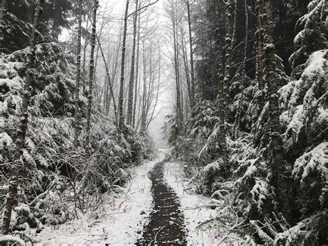 Rattlesnake Mountain — Washington Trails Association