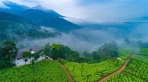 11 Top Tourist Attractions in Munnar by Road in 2021 - Sightseeing and Things To Do