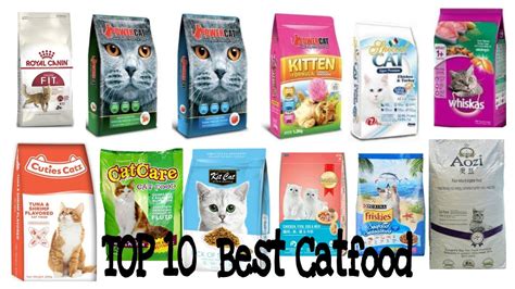 TOP 10 BEST CATFOOD IN PH 2020 - YouTube