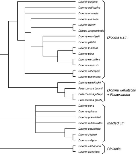 4. Principal monophyletic groups recognizable in the clade that ...