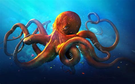 Octopus Wallpapers - Top Free Octopus Backgrounds - WallpaperAccess