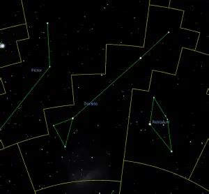 Dorado Constellation Facts, Stars, Map and Myth of The Goldfish