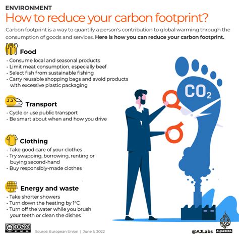 Infographic: How can you reduce your carbon footprint? – Ansar News